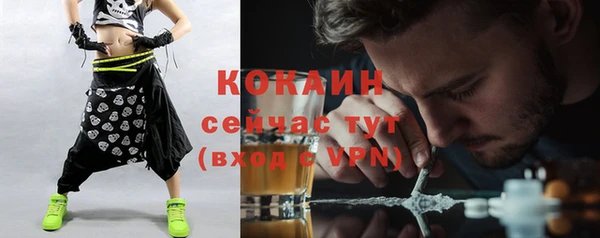 молекула духа Лагань