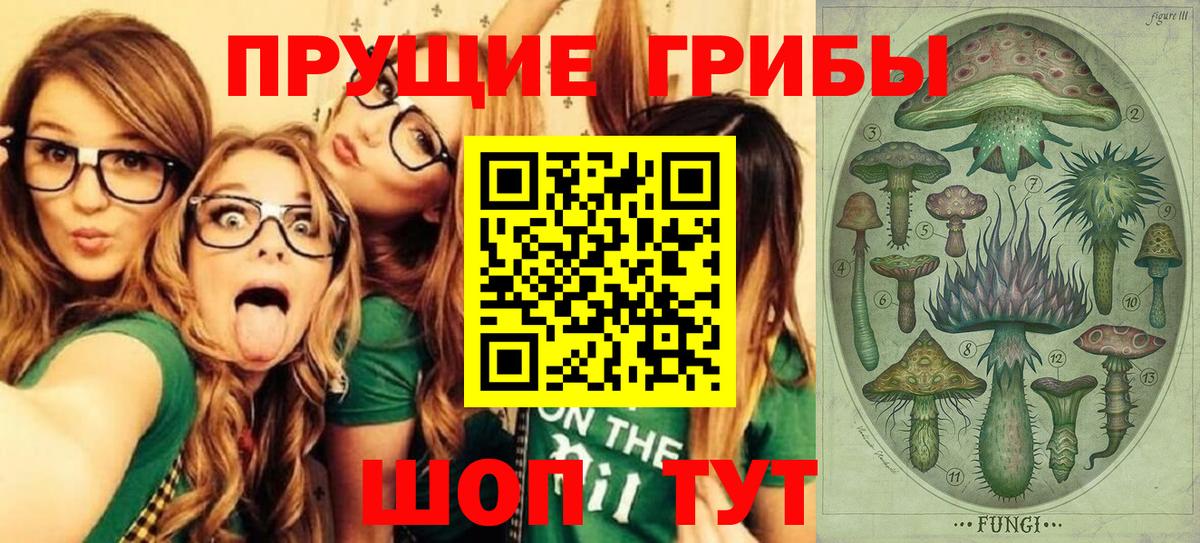 Луга  Галлюциногенные грибы прущие грибы  Галлюциногенные грибы GOLDEN TEACHER  Вход с VPN 